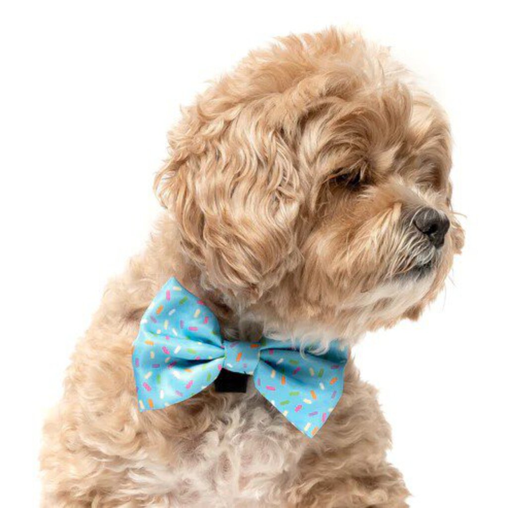 Light Blue Sprinkles - Dog Bow Tie