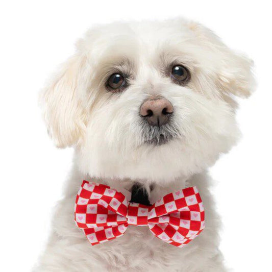 Checkered Hearts - Dog Bow Tie