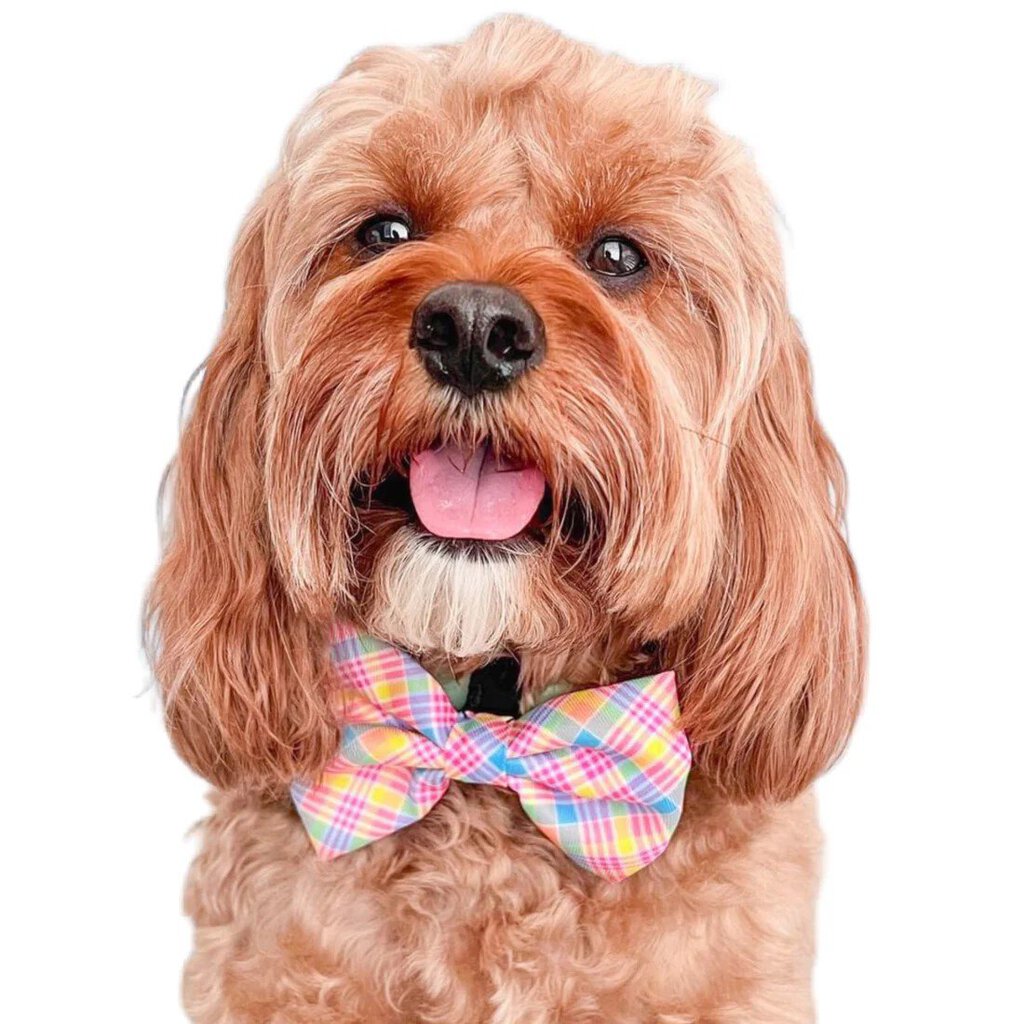 Yellow Spring Plaid - Dog Bow Tie