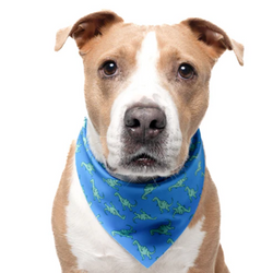 Dinosaur - Quick Dry Triangle Dog Bandana - view 1