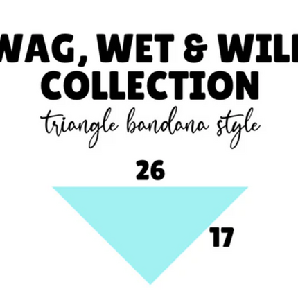 Happy AF Teal - Quick Dry Triangle Dog Bandana