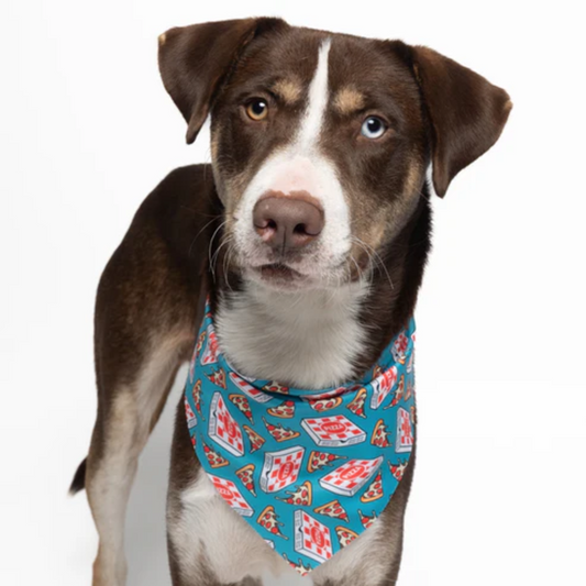 Pizza Night - Quick Dry Triangle Dog Bandana