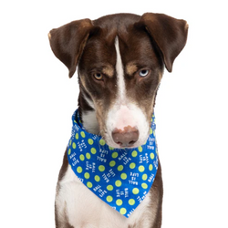 Ball Is Life - Quick Dry Triangle Dog Bandana - view 1