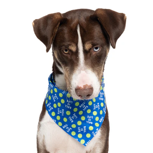 Ball Is Life - Quick Dry Triangle Dog Bandana