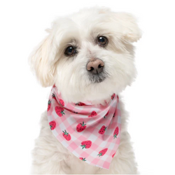 Strawberry Plaid - Quick Dry Triangle Dog Bandana - view 1