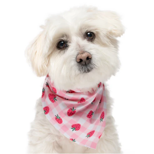 Strawberry Plaid - Quick Dry Triangle Dog Bandana