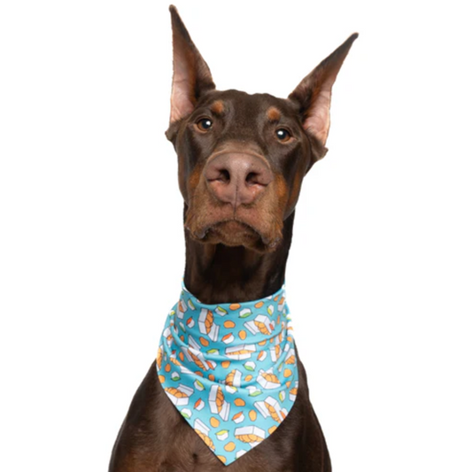 Chicken Nuggets - Quick Dry Triangle Dog Bandana