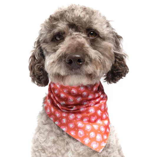 Animal Prints - Quick Dry Triangle Dog Bandana