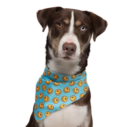 Happy AF Teal - Quick Dry Triangle Dog Bandana