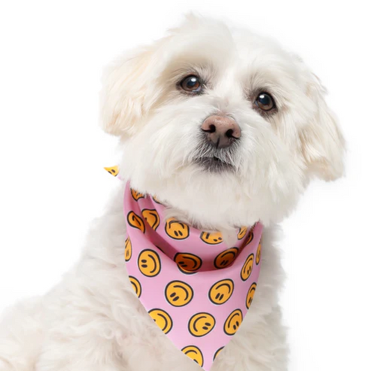 Happy AF Pink - Quick Dry Triangle Dog Bandana