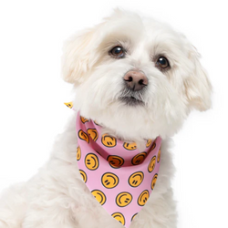 Happy AF Pink - Quick Dry Triangle Dog Bandana - view 1