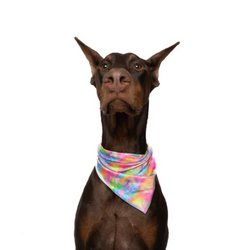 Neon Tie Dye - Quick Dry Triangle Dog Bandana - view 1