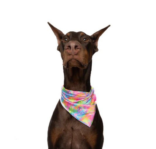 Neon Tie Dye - Quick Dry Triangle Dog Bandana