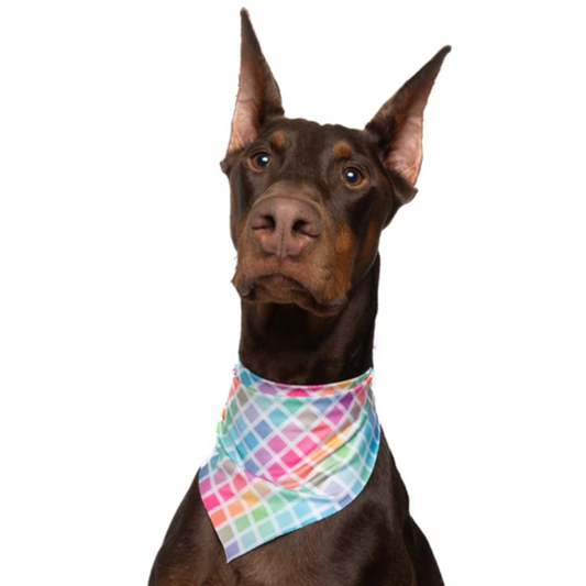 Rainbow Windowpane Plaid - Quick Dry Triangle Dog Bandana