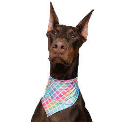 Rainbow Windowpane Plaid - Quick Dry Triangle Dog Bandana - view 1