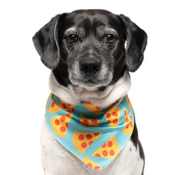 Teal Pizza - Quick Dry Triangle Dog Bandana - view 1