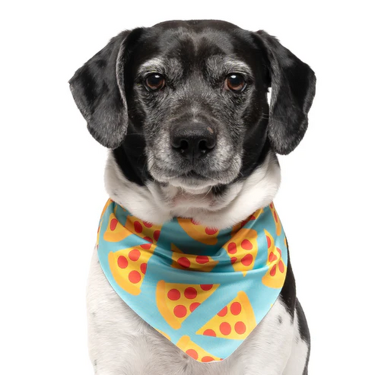 Teal Pizza - Quick Dry Triangle Dog Bandana