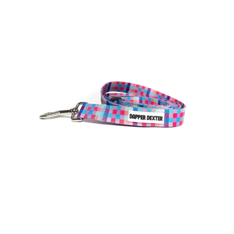 Dog Leash
