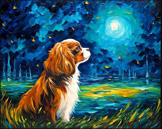 King Charles Cav Starry Night