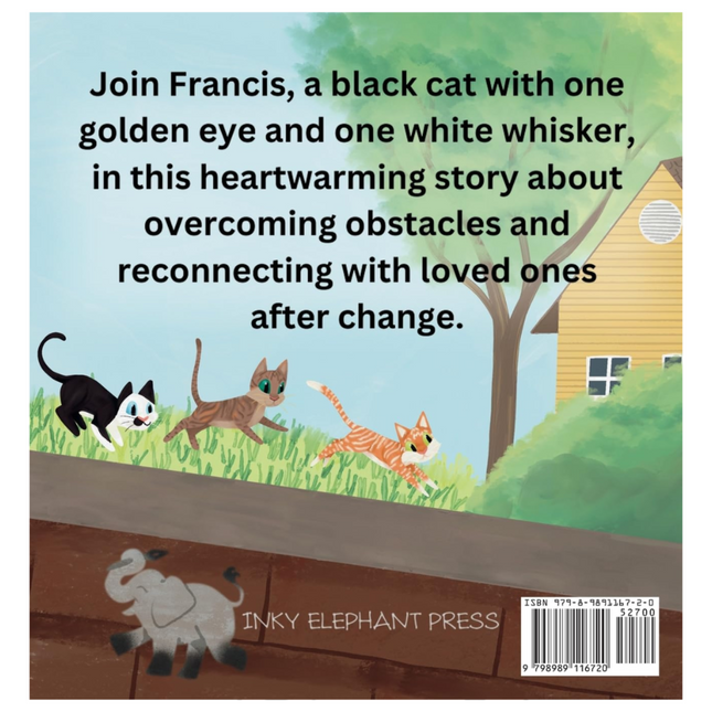 Francis the One-Eyed Wonder Kitty