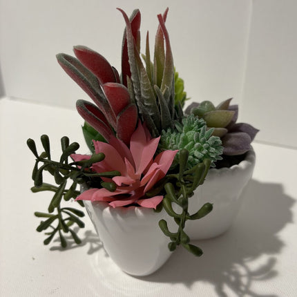 White heart succulent