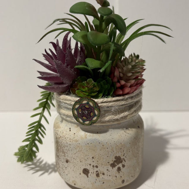 20.00 sm weathered white succulent