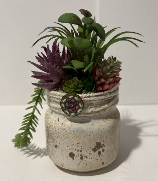 20.00 sm weathered white succulent