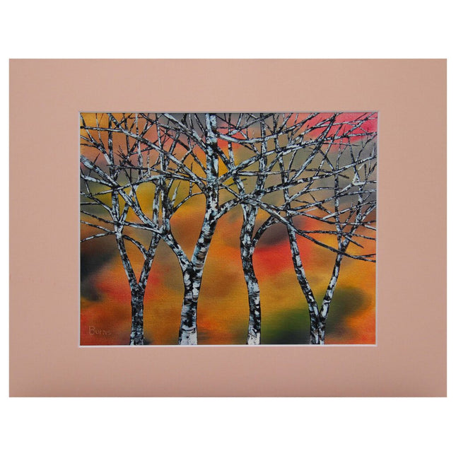 #195-1 Fall Birch II 11x14 matte - 8x10 print