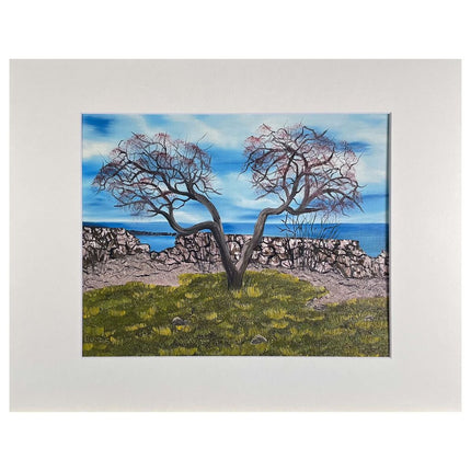 #169-7 Seacoast, Rye, NH 11"x14" matte / 8"x10" print