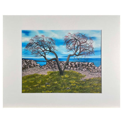 #169-8 Seacoast, Rye, NH 11"x14" matte / 8"x10" print