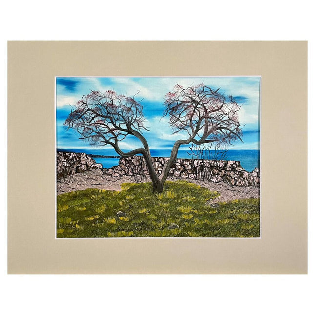 #169-9 Seacoast, Rye, NH 11"x14" matte / 8"x10" print