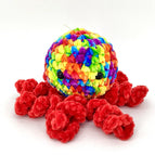 Rainbow with red legs