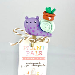 SNAIL SUCCULENT PLANT PAL - view 2