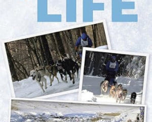 Collection image for: Author Tom DiMaggio