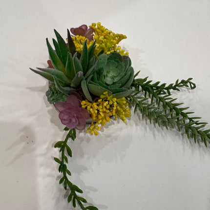 19.50 succulent top 1