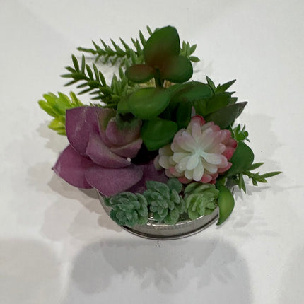 19.50 succulent lid 4