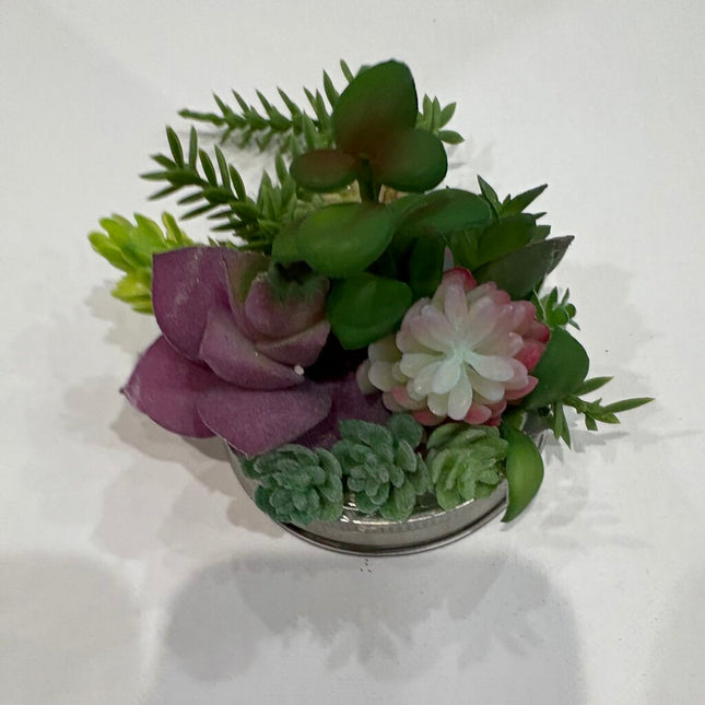 19.50 succulent lid 4