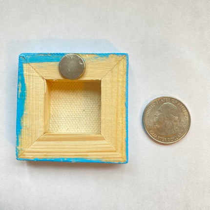 Watermelon magnet mini canvas thick