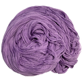 Amethyst - American Shorthair Fingering