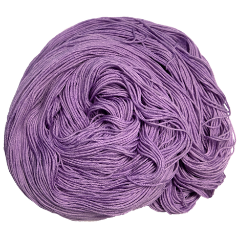 Amethyst - American Shorthair Fingering