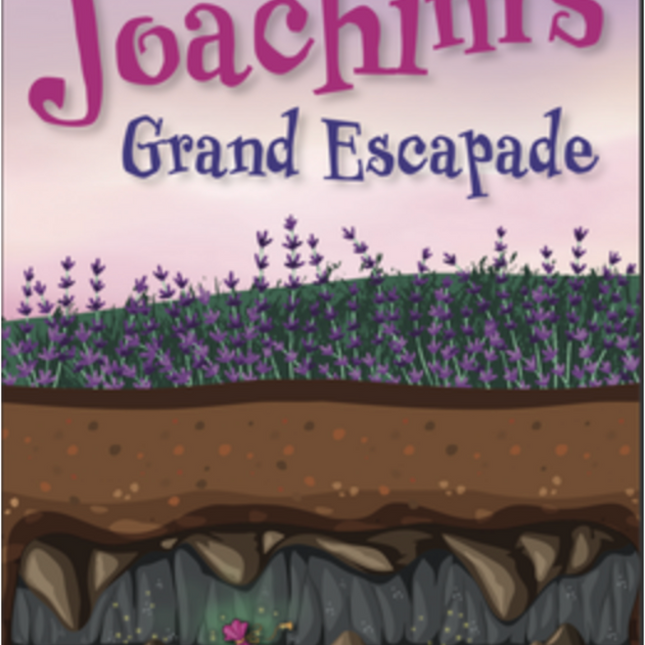 Joachim's Grand Escapade