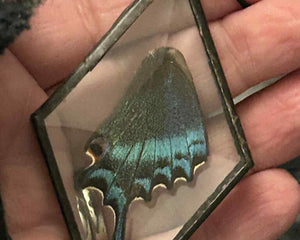 Collection image for: Primal Adornments