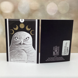 The Avian Tarot Blank Greeting Cards - view 4