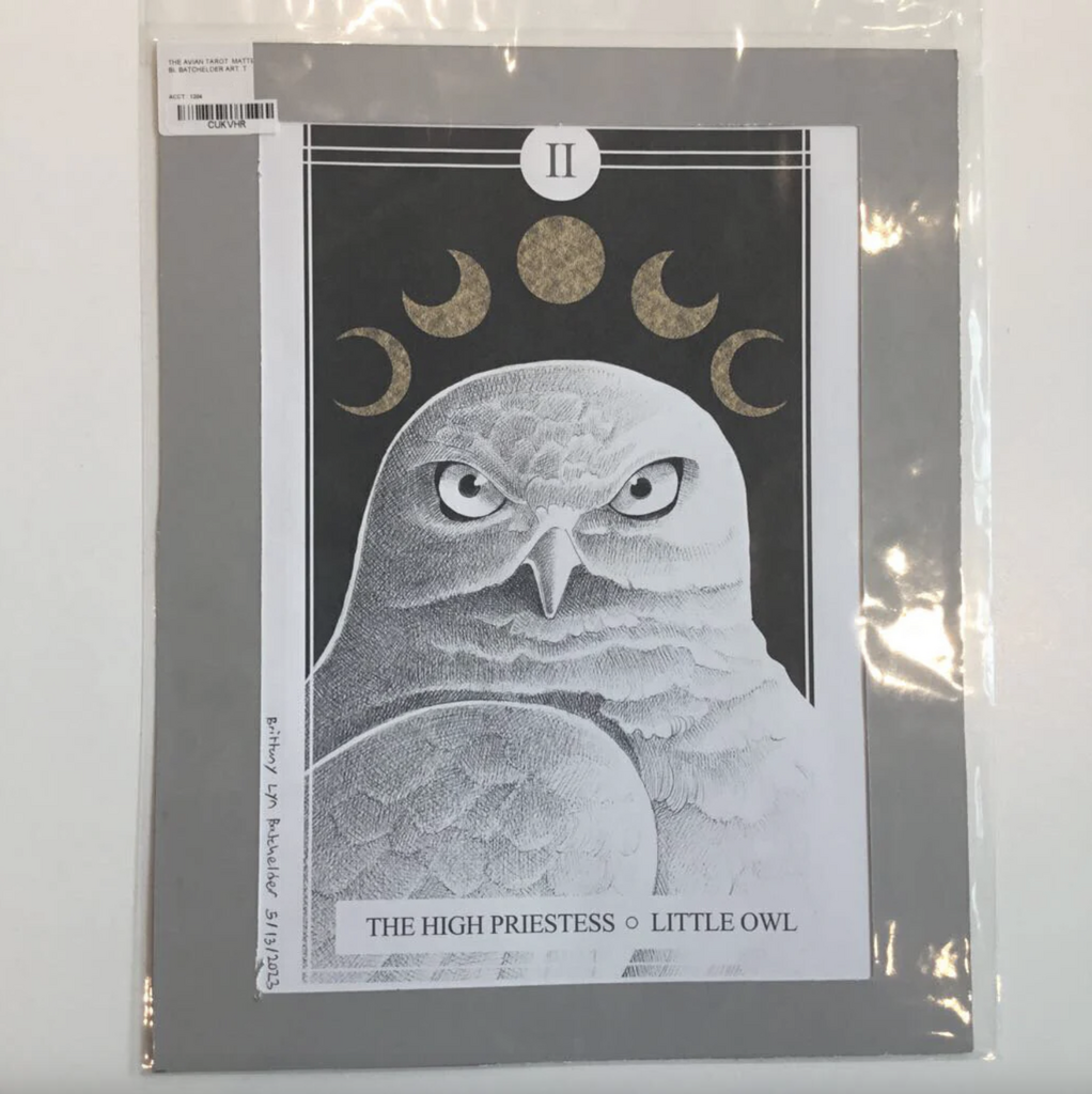 The Avian Tarot Matted Prints