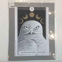The Avian Tarot Matted Prints - view 2