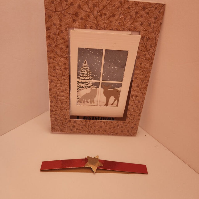 Slide & Pop Card/Through the Window