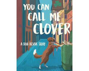 Collection image for: Author Darcy Kate