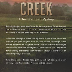 Cave Creek - view 2