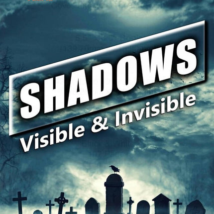 Shadows: Visible & Invisible (Catholic Teen Books Visible & Invisible Anthology Series)