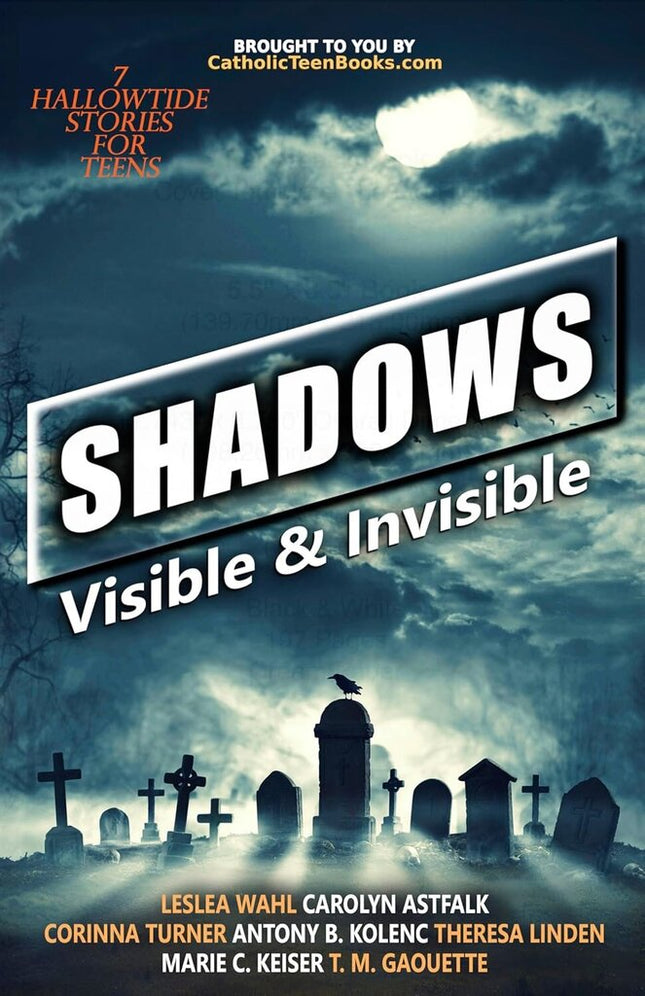 Shadows: Visible & Invisible (Catholic Teen Books Visible & Invisible Anthology Series)